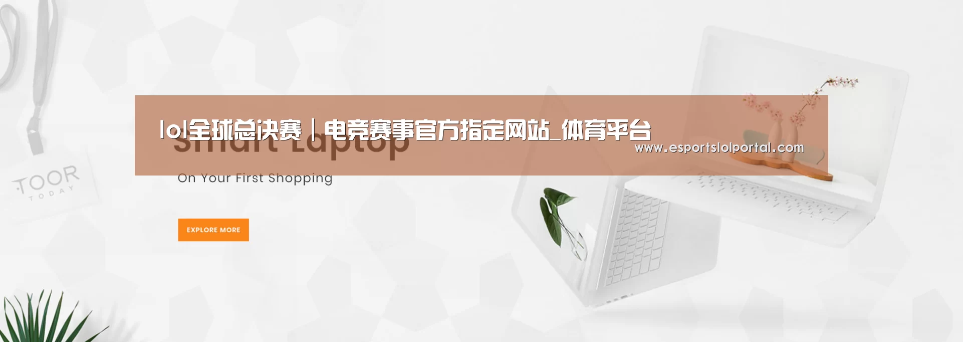 某某网络科技有限公司
