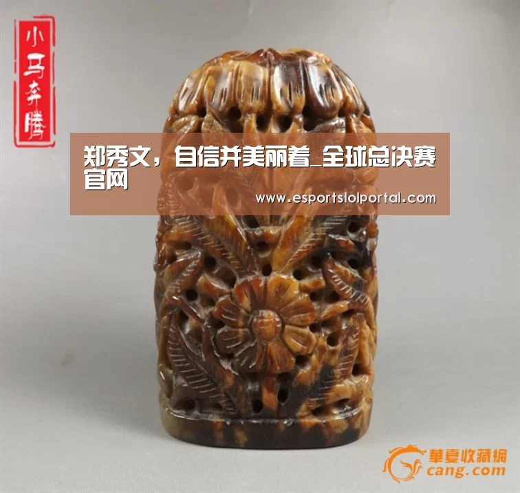 郑秀文，自信并美丽着_全球总决赛官网
