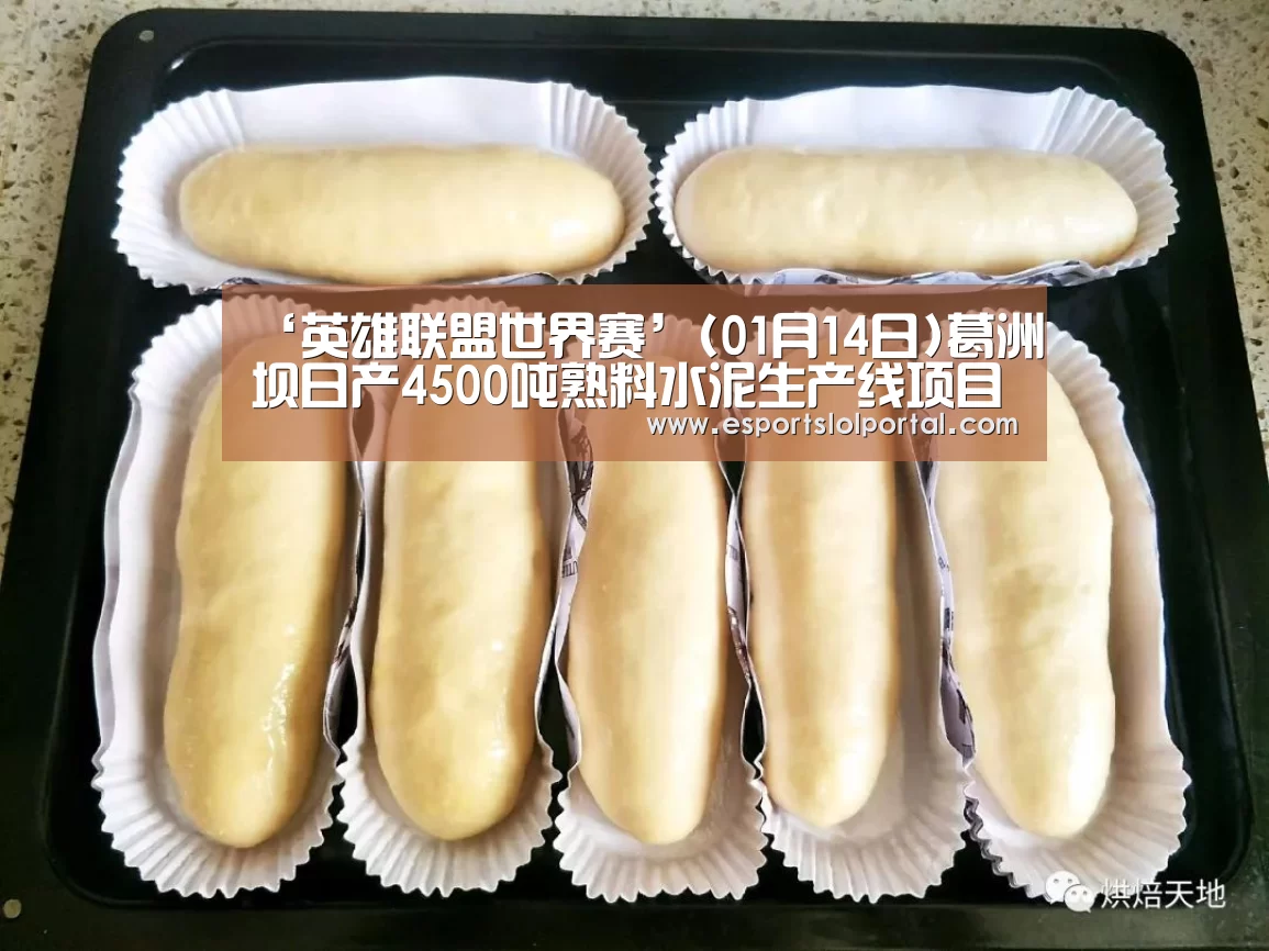 全球总决赛官网