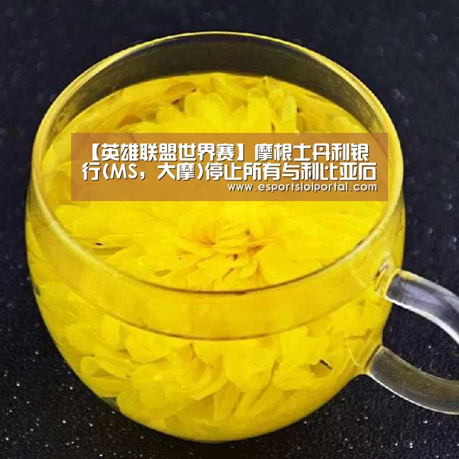【英雄联盟世界赛】摩根士丹利银行(MS，大摩)停止所有与利比亚石油交易